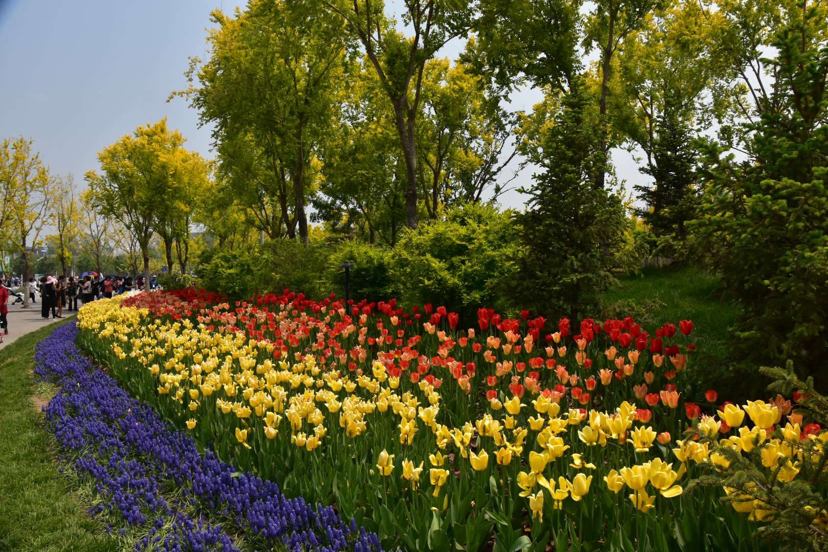 春天风景的邂逅