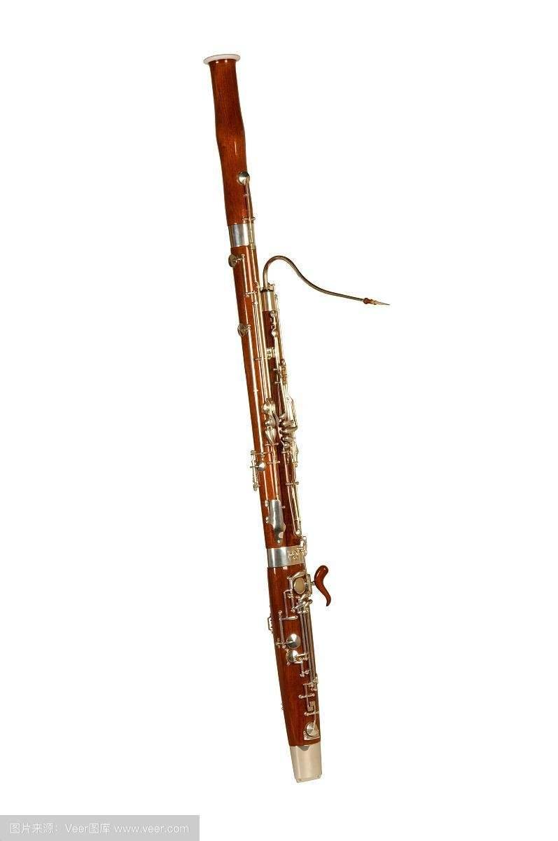 老了我爱上了巴松