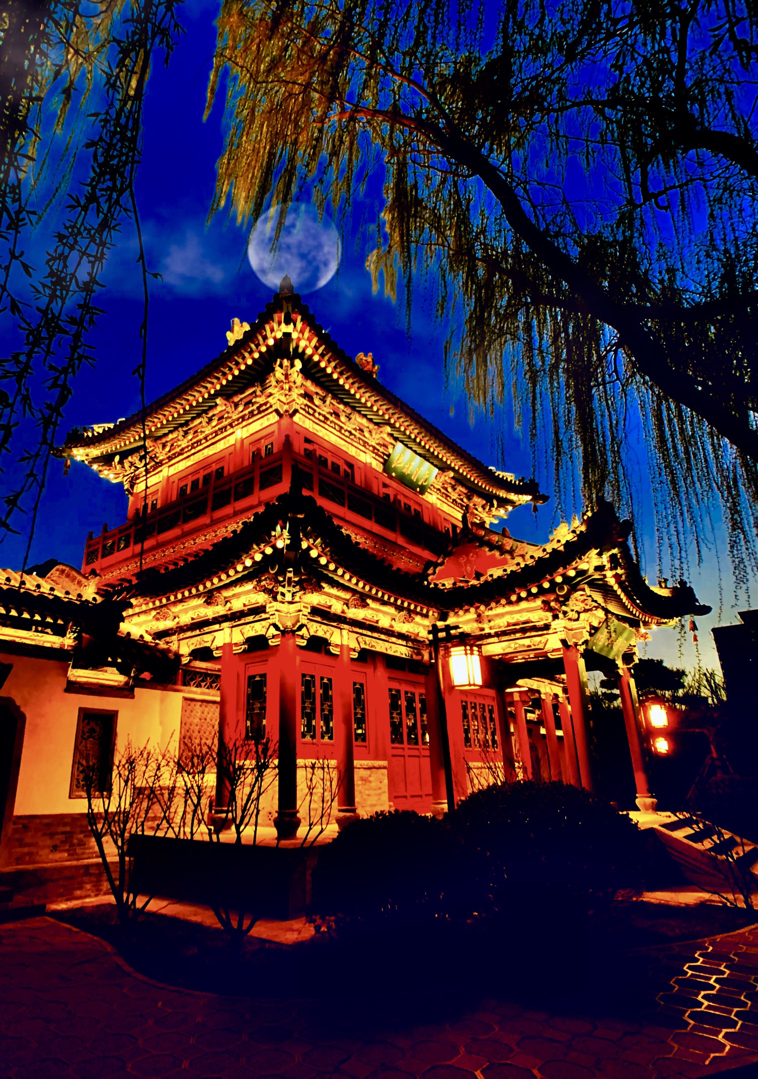 迎泽湖畔夜景美哒哒【眼镜哥.手机摄】