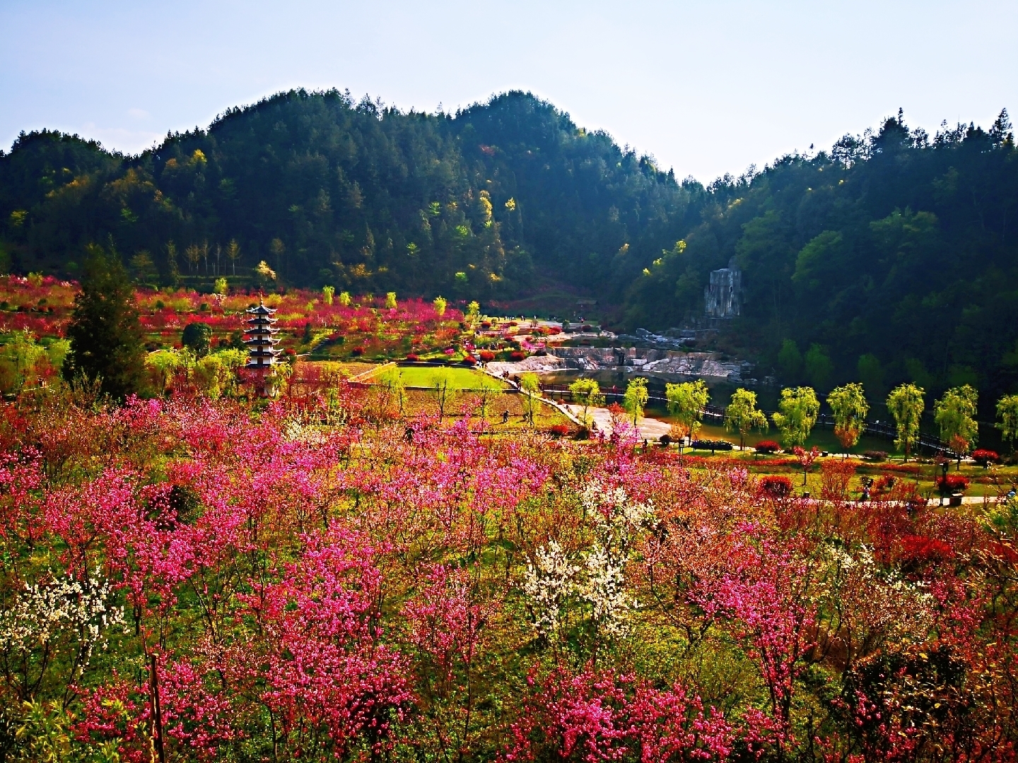 正安桃花源