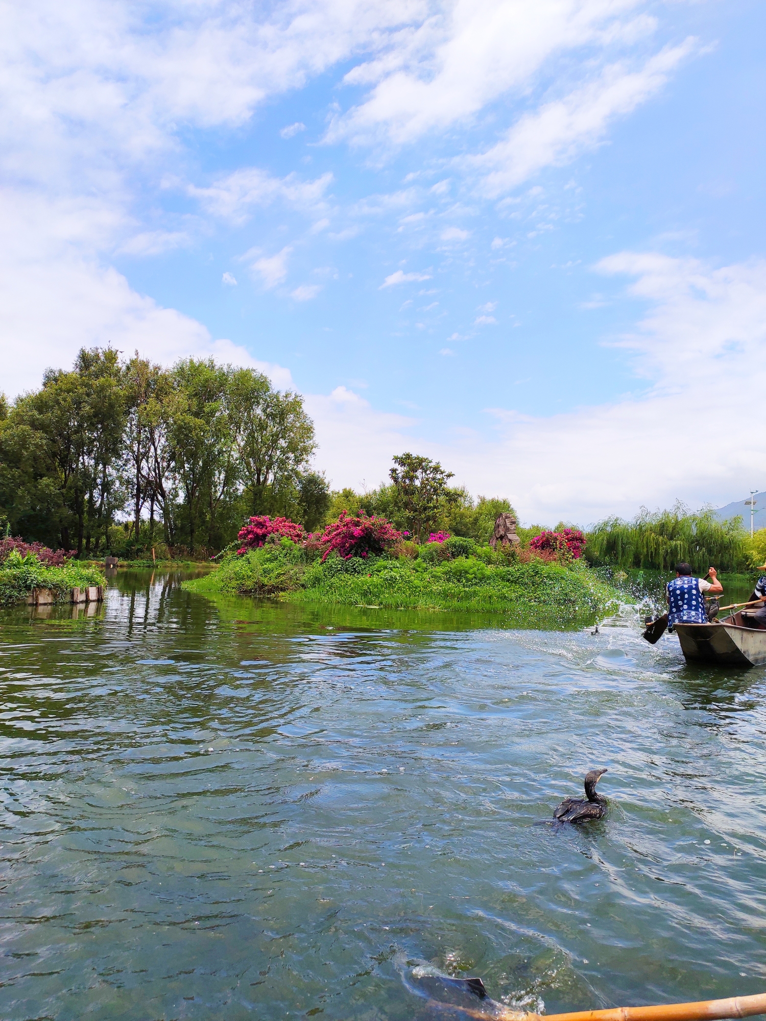 云南旅游第3天.大理以白族人为主,男的叫阿鹏哥,女的叫金花.