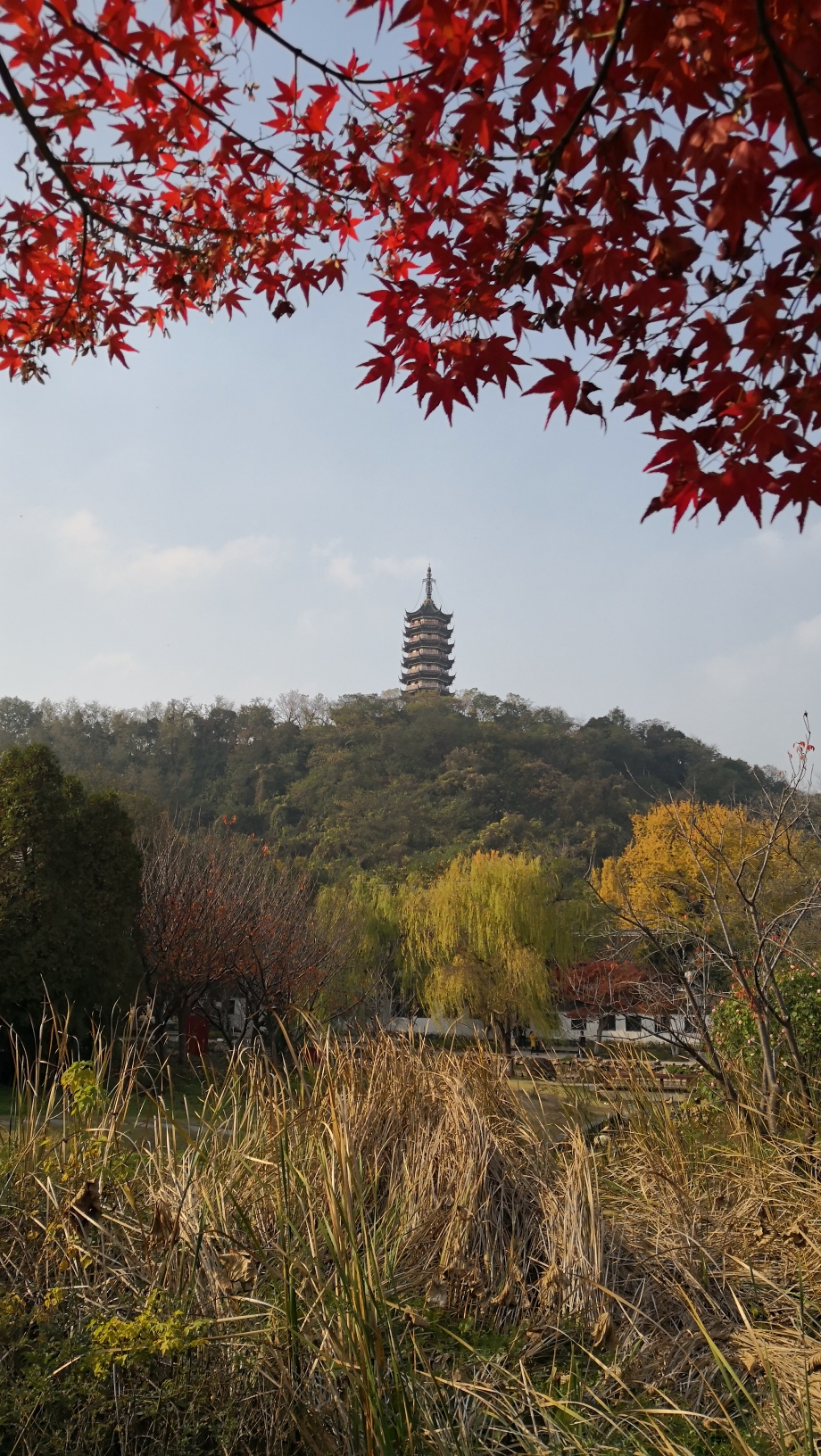 留住焦山秋天的景色