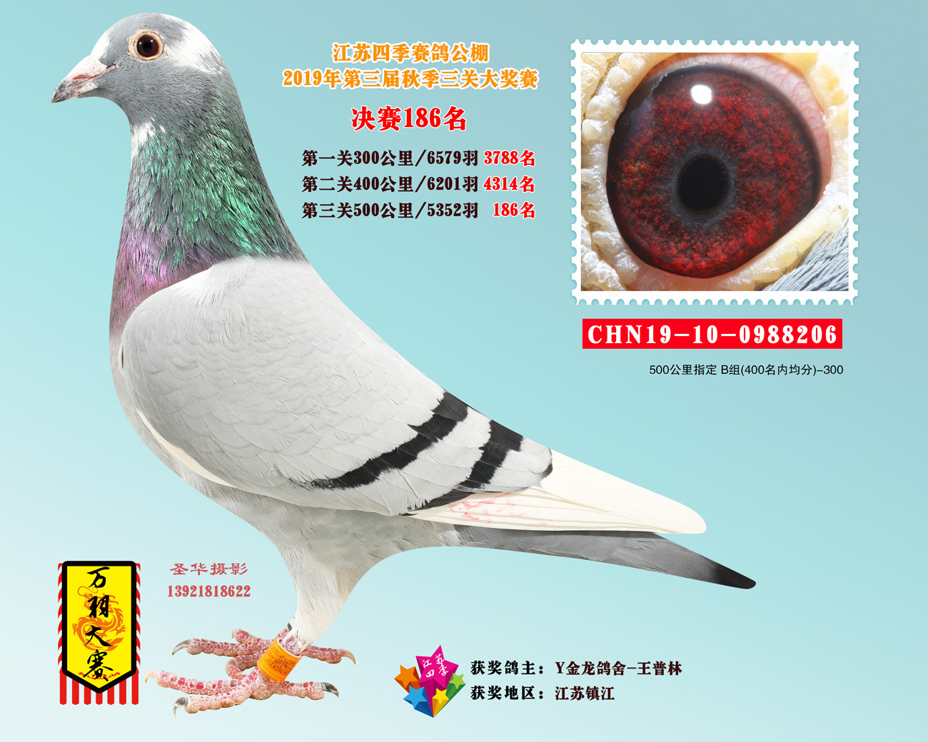 2019年秋江苏四季赛鸽公棚决赛获奖鸽151-200名