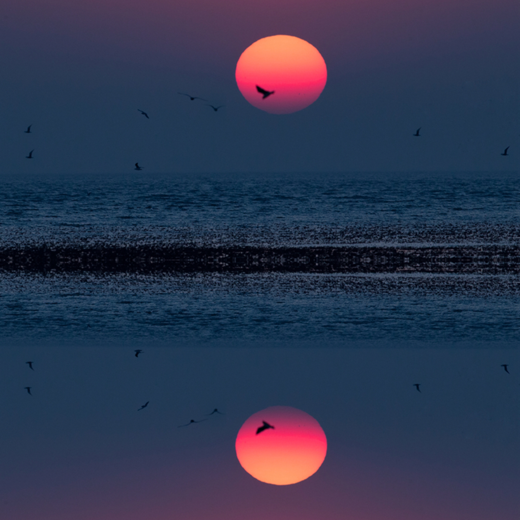 利用倒影进行拍摄,将简单的画面变得更富有内涵,更有艺术感.