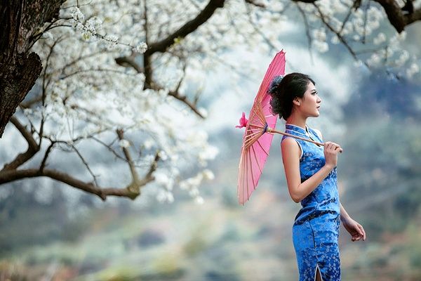 梨花树下的旗袍秀