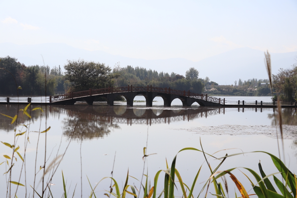 西昌市邛海梦里水乡湿地公园