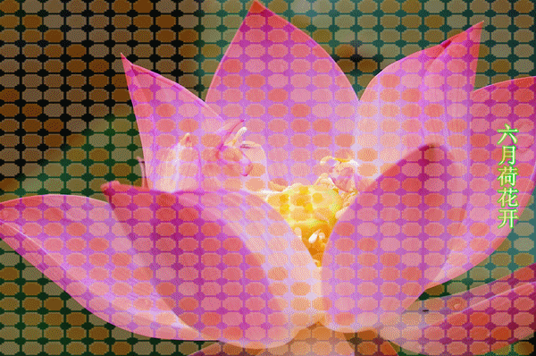 2018最美日历《天女散花——十二月花》