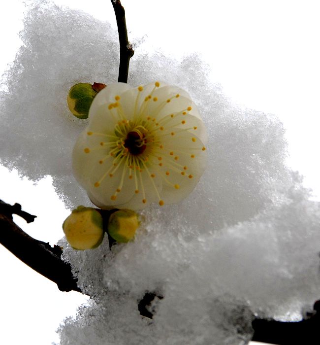 新的开始--心的祝福