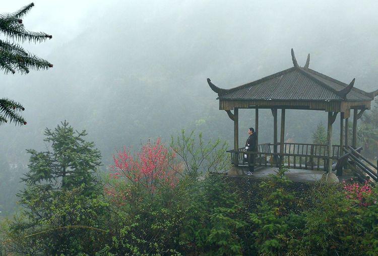 桃花误松阳寨头岭